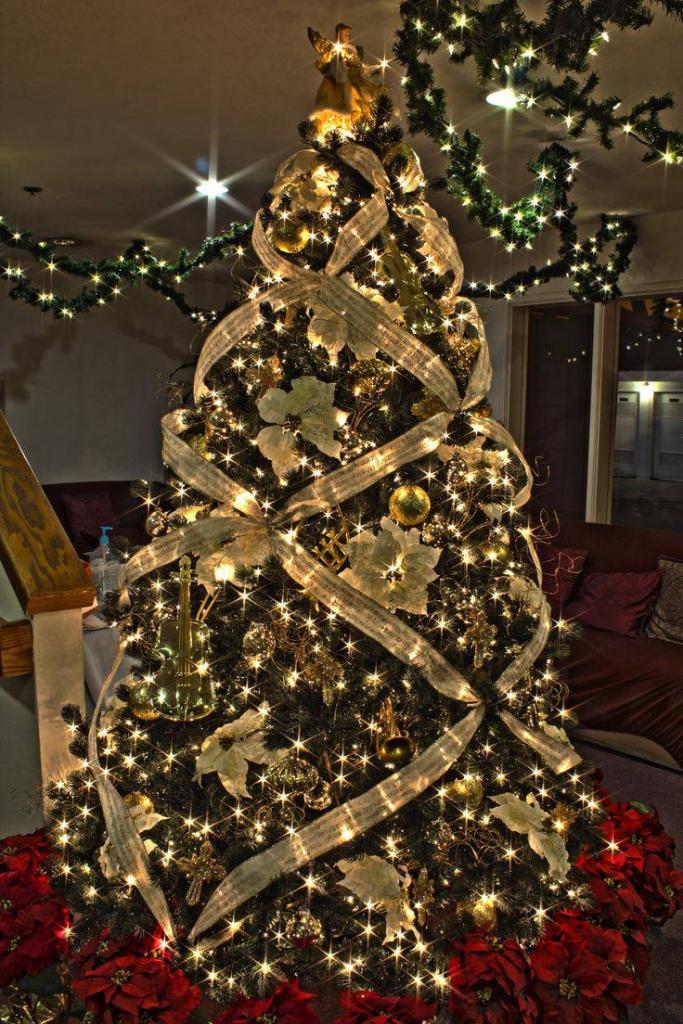 modelos de árvores de Natal decoradas